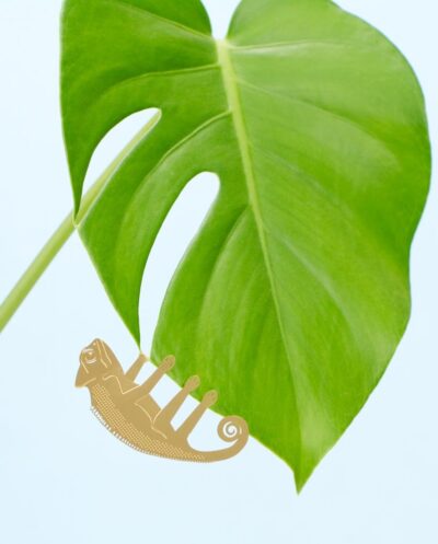 Plant Animal - Chameleon