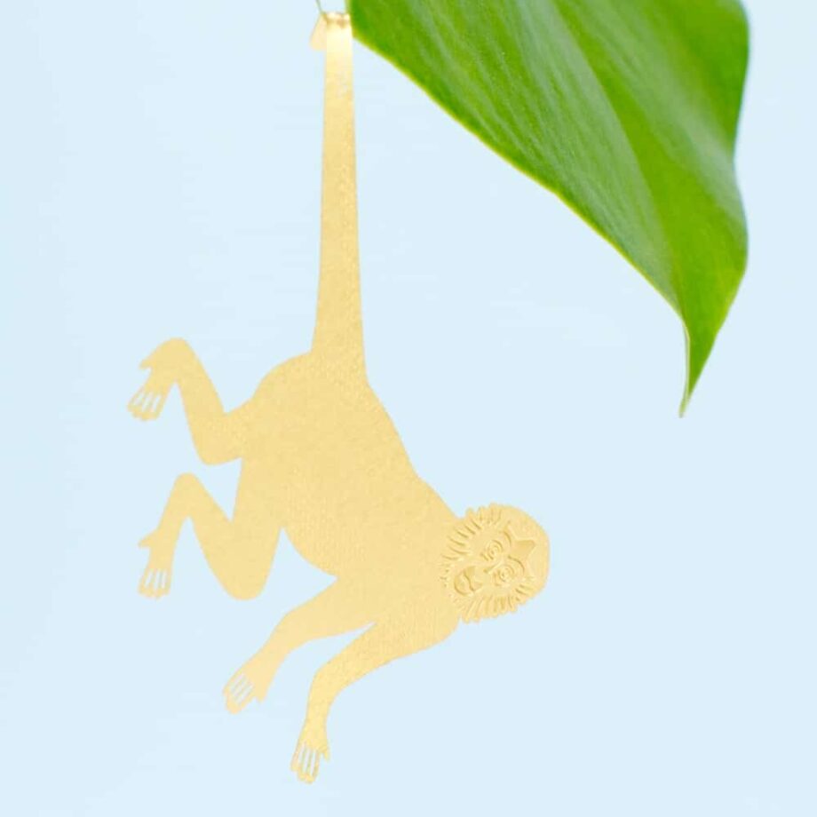 Plant Animal – Spider Monkey -100-4