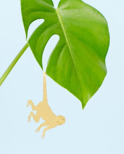 Plant Animal - Spider Monkey
