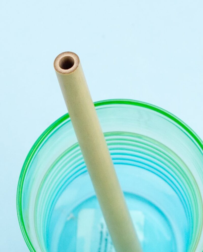 Bamboo Straws - Set of 6