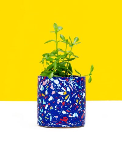 Royal Blue Terrazzo Pot