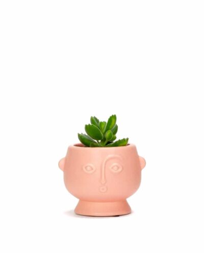 Mini Face Planter Matt Pink