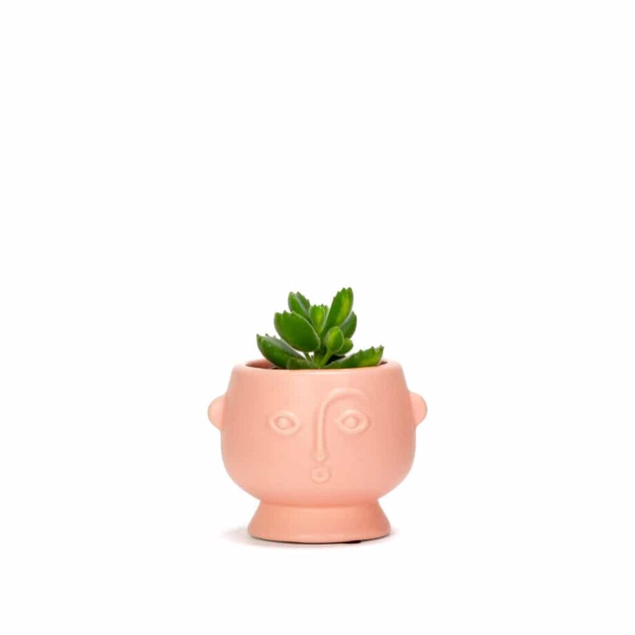 1Mini Face Planter Matt Pink-Eye-Mind-Heart-Hertford-100