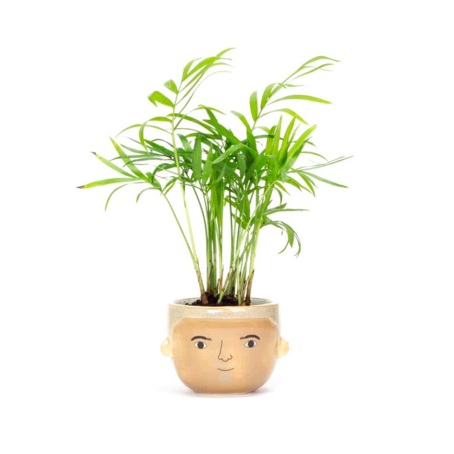 Bradley-Planter-Eye-Mind-Heart-Hertford-100-2