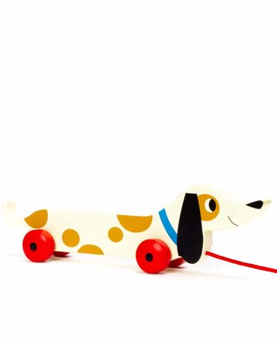 Charlie The Sausage Dog