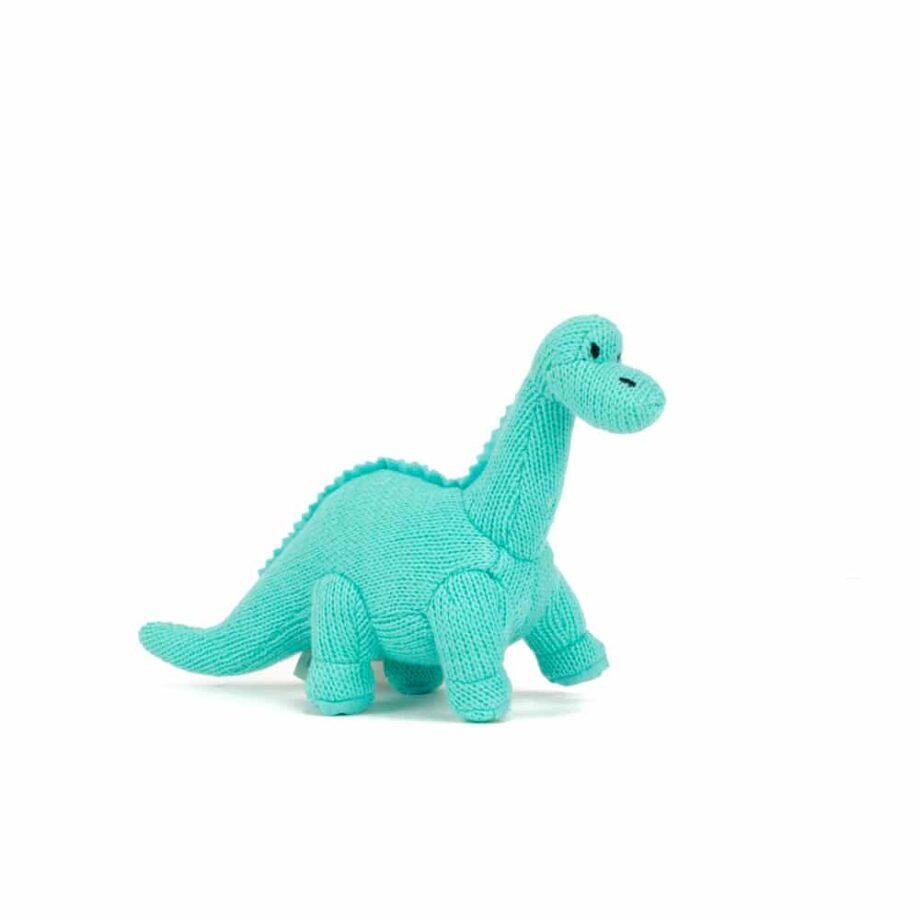 Ice-Blue-Diplodocus-Eye-Mind-Heart-Hertford-100