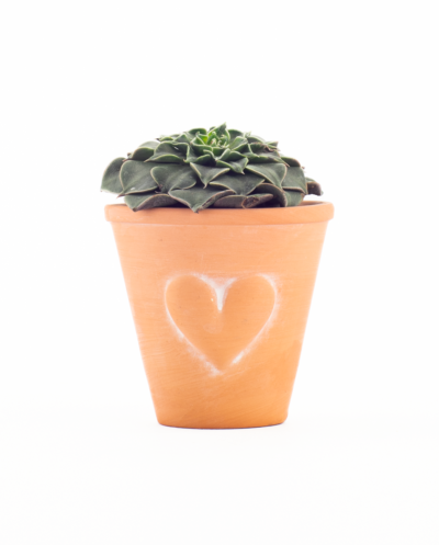 Heart Mini Planter