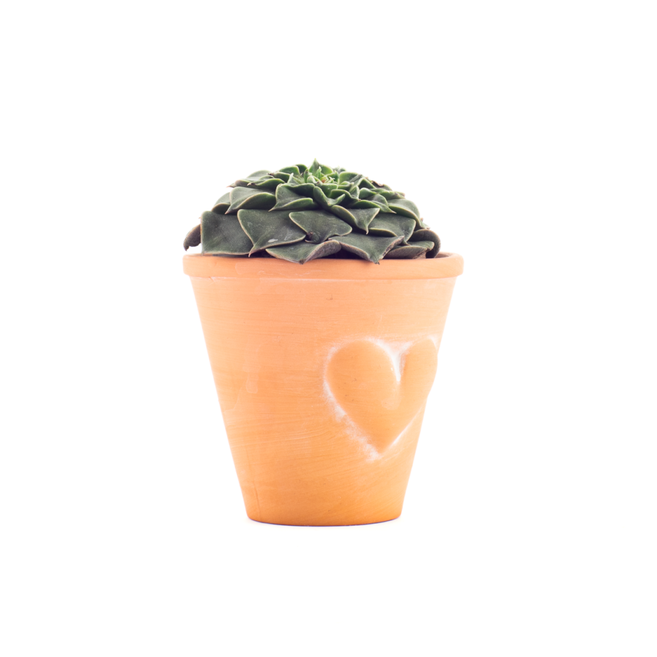 EyeMindHeart-Product-3