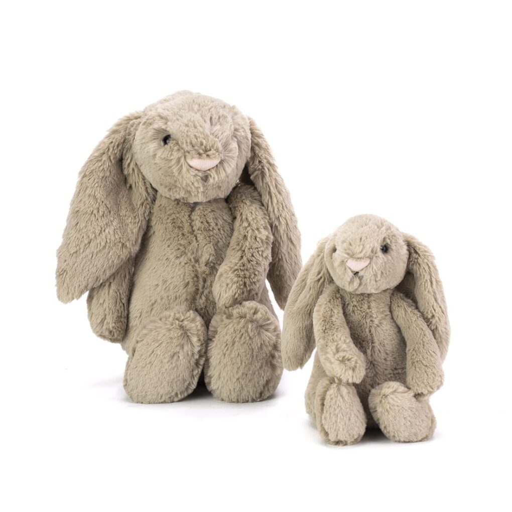 Bashful Bunny Small EyeMindHeart-97