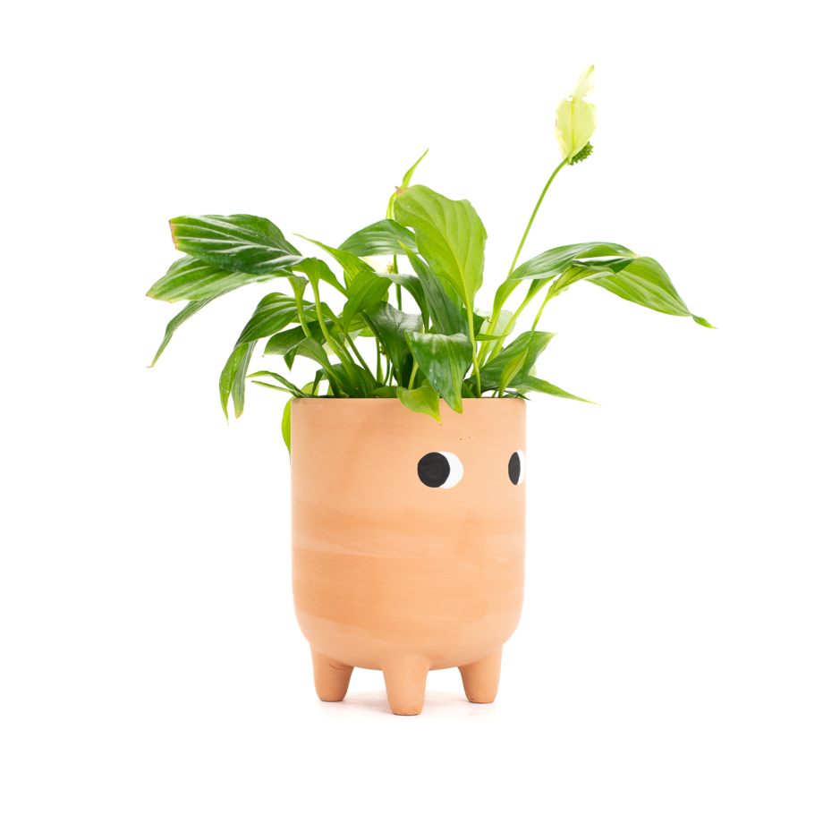 Vase-with-Eyes-eyemindheart-eyemindheartshop-2