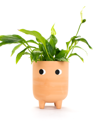 Leggy Terracotta Planter