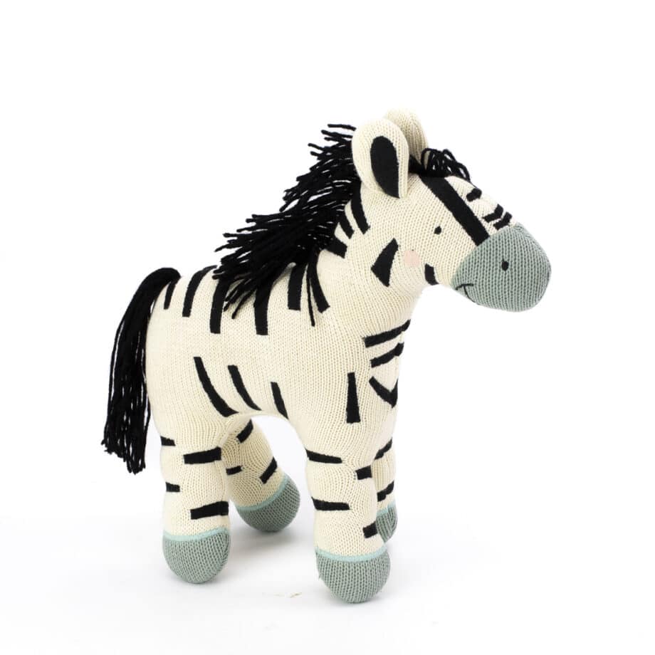 Zebra EyeMindHeart-31
