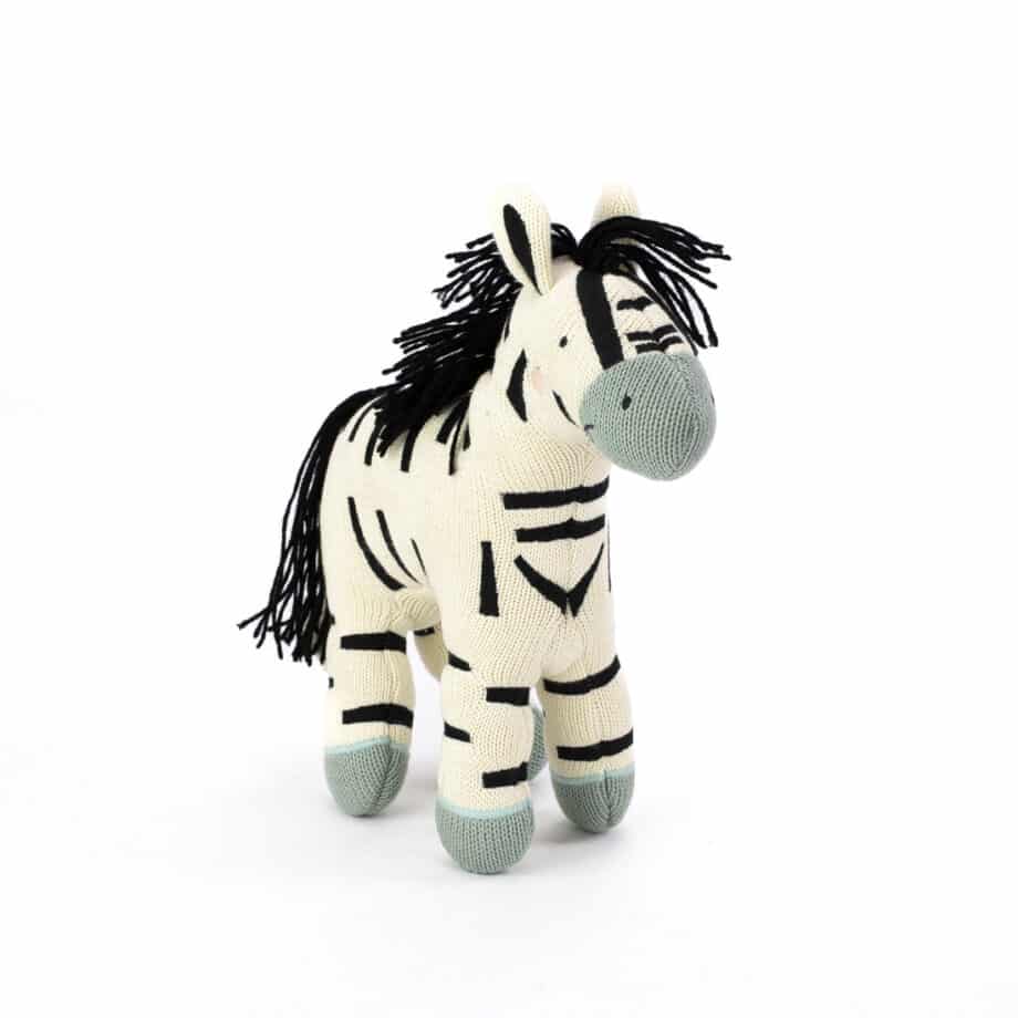 Zebra EyeMindHeart-32