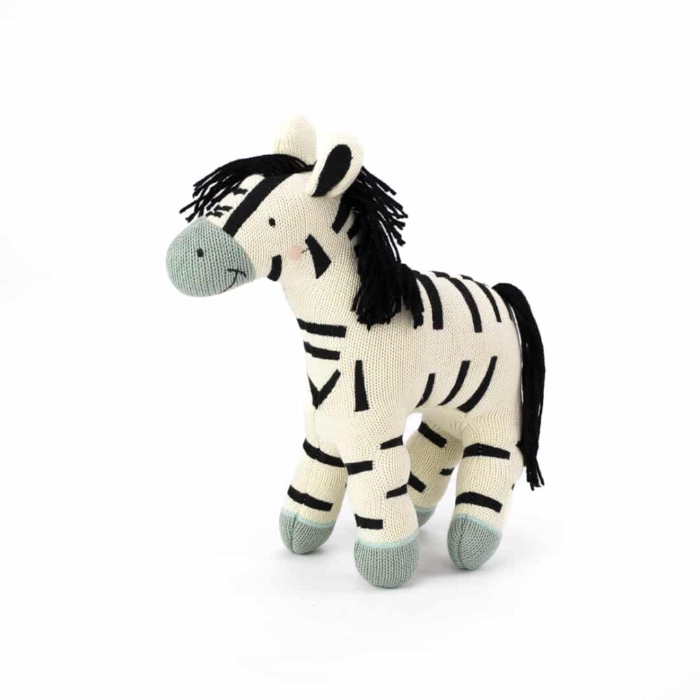 Zebra EyeMindHeart-33