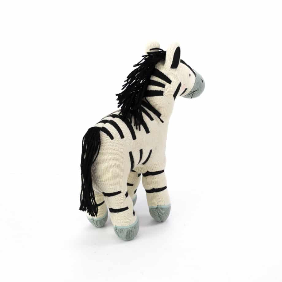 zebra EyeMindHeart-34