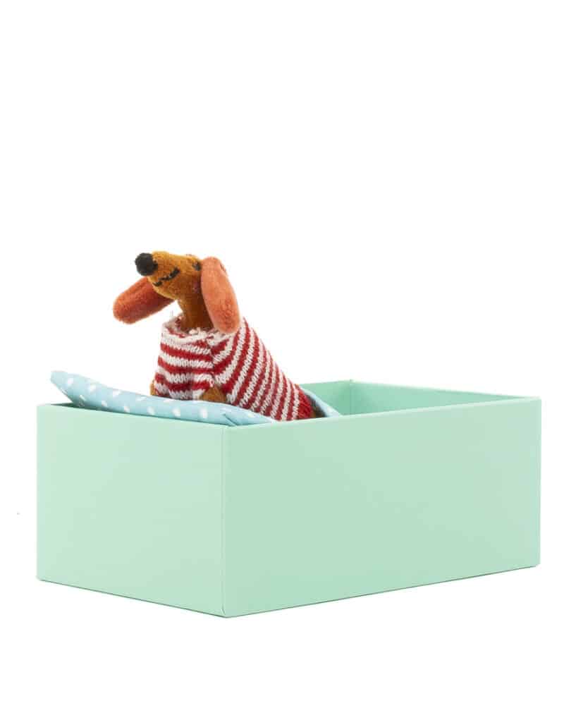 Mini Sausage Dog in a House
