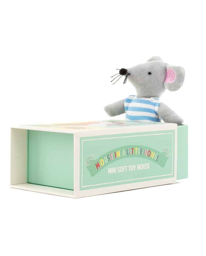 Mouse in a little house
