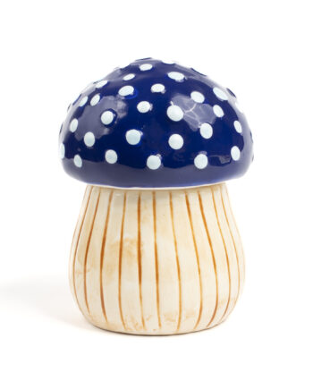 Magic Mushroom Jar