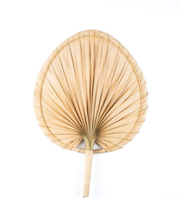 Palm leaf hand fan